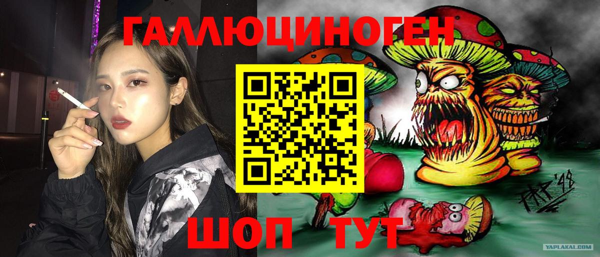 Сунжа  Галлюциногенные грибы прущие грибы  Галлюциногенные грибы MAGIC MUSHROOMS  Вход с VPN 
