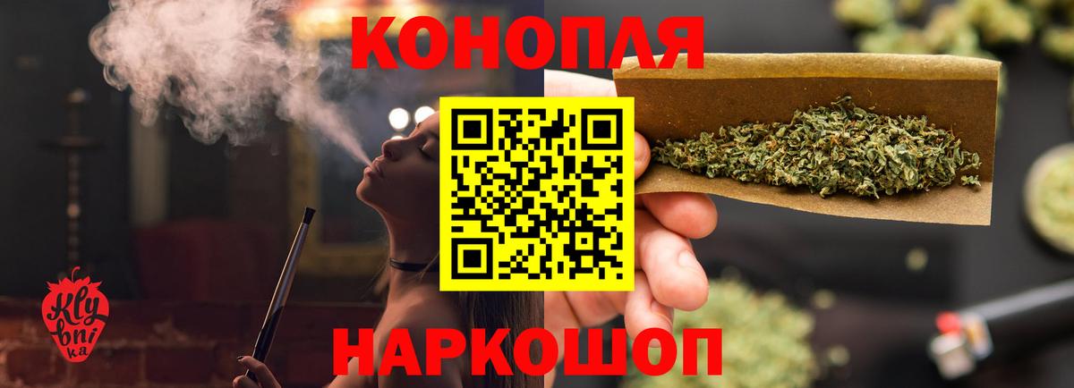 Бошки Шишки SATIVA & INDICA  Вход с VPN  Конопля сатива  Канабис сатива  Сунжа 